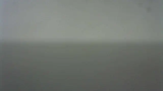 Thommas8a online show from 22, 2, 2026