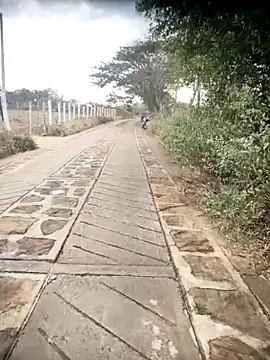 tania queen online show from 4, 3, 2026