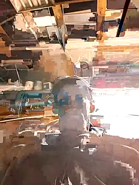 Chase3647 online show from 24, 4, 2026