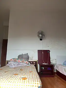 Chery mup online show from 8, 3, 2026