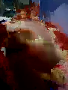 yusu 3 online show from 25, 2, 2026