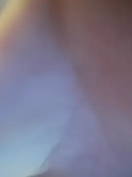 fifo9000 online show from 9, 2, 2026