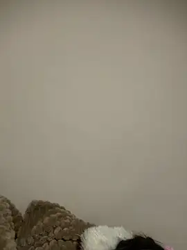 justinahallo online show from 7, 3, 2026