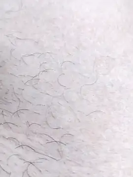 Bangladeshi big online show from 17, 4, 2026