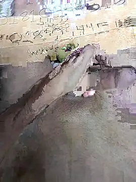 Bangladeshi big online show from 3, 4, 2026