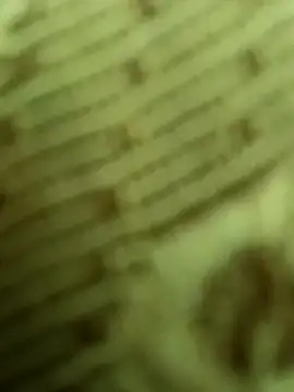 Ranjet01 online show from 3, 3, 2026