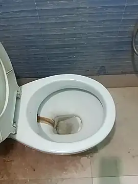 cutezara4 online show from 17, 3, 2026