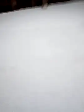 nego5628 online show from 20, 3, 2026