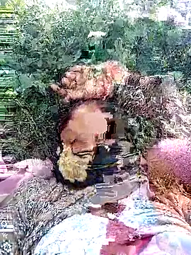 Pallavi hote online show from 28, 2, 2026