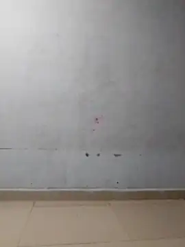 bigassnirali0049 online show from 2, 3, 2026