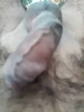 Love Sabby 700 online show from 28, 4, 2026