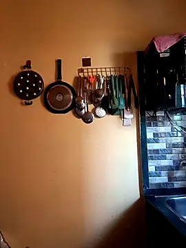 02Roshni online show from 1, 3, 2026