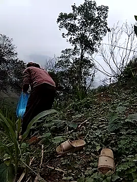 lovely-742 online show from 19, 4, 2026