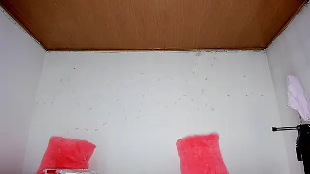 karol kane online show from 13, 2, 2026