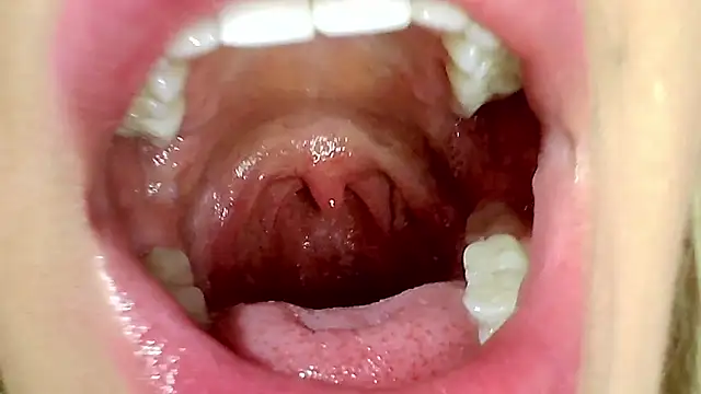 karol kane online show from 16, 4, 2026