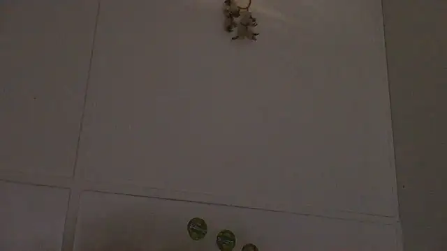 pbilip7787 online show from 28, 2, 2026