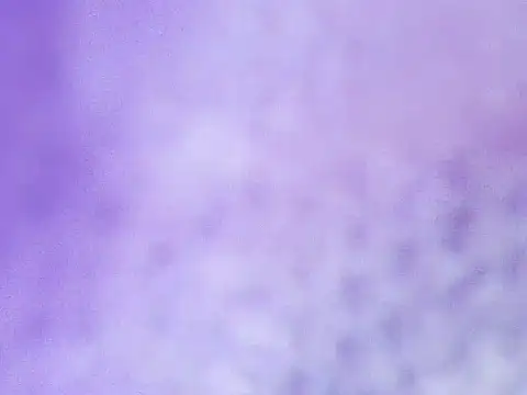 Aliclark online show from 22, 2, 2026