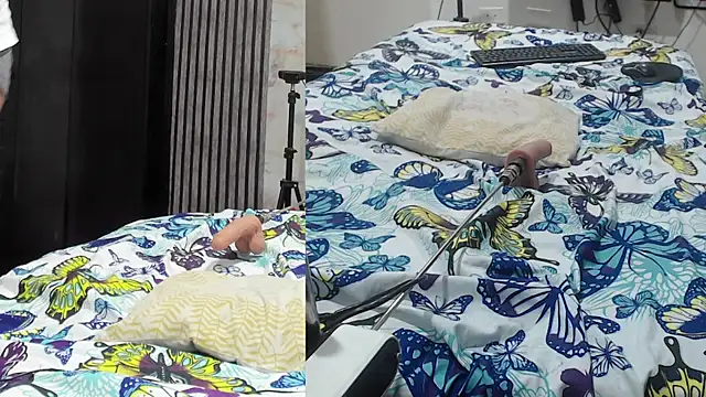 isabella castro2 online show from 12, 3, 2026