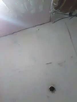 cobrosdepagos online show from 11, 4, 2026