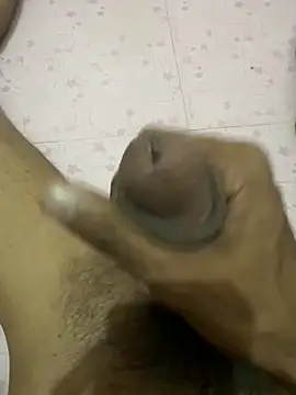 meekpatidar online show from 5, 3, 2026