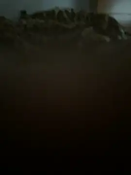 jacobbb5 online show from 19, 4, 2026