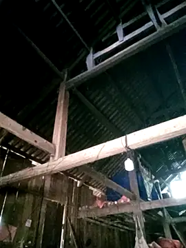 Susuu5790 online show from 16, 4, 2026