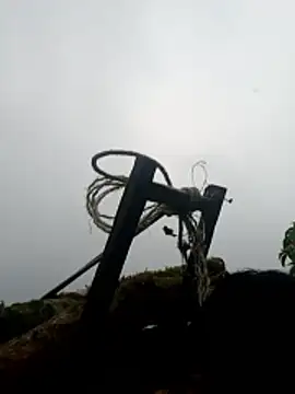 nelina 12345 online show from 16, 4, 2026