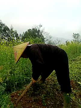 nelina 12345 online show from 26, 3, 2026