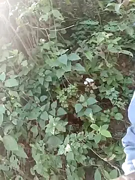 nelina 12345 online show from 8, 4, 2026