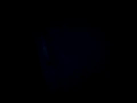 dustbunny64 online show from 28, 3, 2026