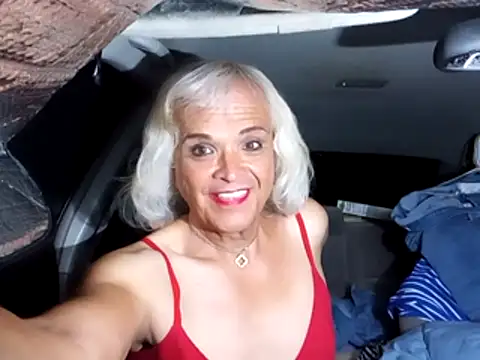 dustbunny64 online show from 7, 4, 2026