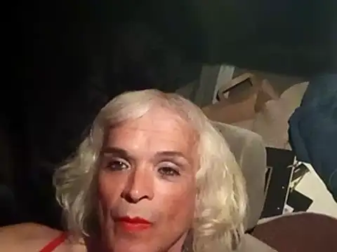 dustbunny64 online show from 21, 3, 2026