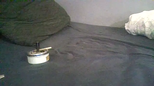 BonneQueueBonjour online show from 22, 2, 2026