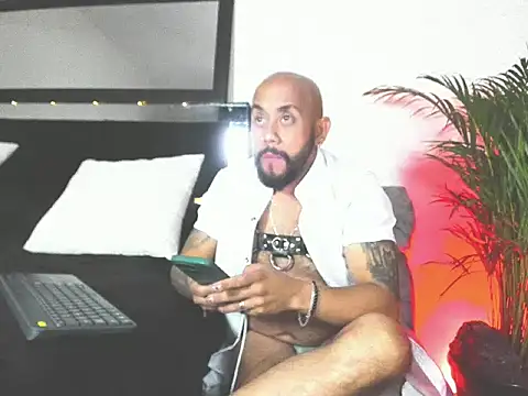 King bear 25 online show from 26, 2, 2026