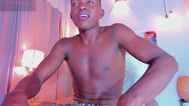 hanssmitt online show from 26, 2, 2026