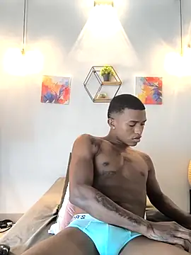 hanssmitt online show from 27, 2, 2026