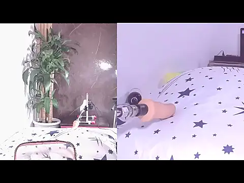 Carol Swet online show from 21, 4, 2026