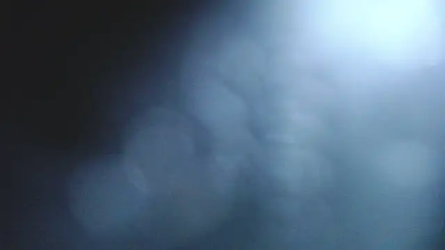 Stannly1 online show from 11, 3, 2026