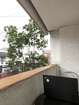 Daniela Pink online show from 5, 6, 2026