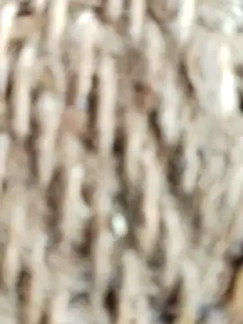 SONY BABY online show from 2, 4, 2026