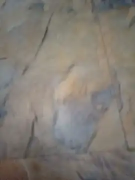 Avinh 09 online show from 16, 2, 2026