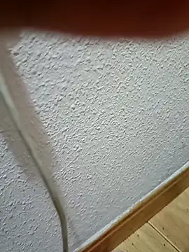 PaRdEDo2 online show from 15, 2, 2026