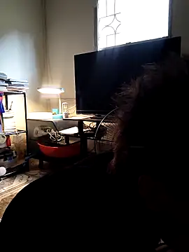 rdan13 online show from 3, 3, 2026