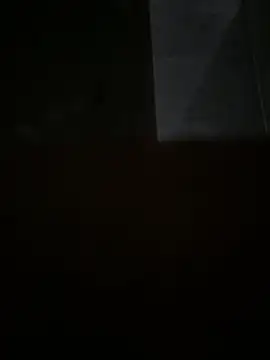 D4n13l47 online show from 30, 4, 2026