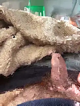 D4n13l47 online show from 4, 3, 2026