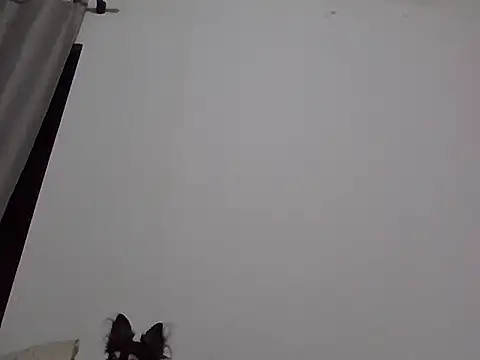 machodotado97 online show from 2, 3, 2026