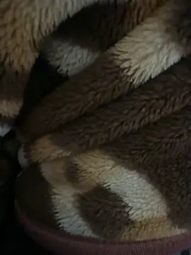 youngboywithcurvymilf online show from 6, 3, 2026