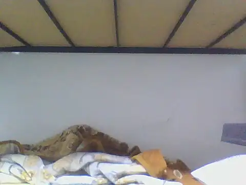 ahmetsoner0249 online show from 2, 4, 2026