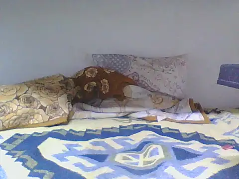 ahmetsoner0249 online show from 24, 4, 2026