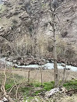 TurkeyMen online show from 8, 4, 2026